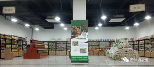 貴州戶(hù)戶(hù)達(dá) 以農(nóng)產(chǎn)品展示體驗(yàn)中心為橋，守護(hù)家鄉(xiāng)風(fēng)味，服務(wù)會(huì)務(wù)展覽